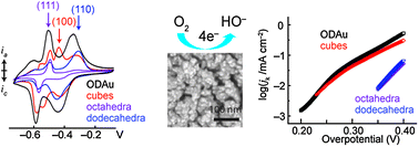 Graphical abstract: Alkaline O2 reduction on oxide-derived Au: high activity and 4e− selectivity without (100) facets