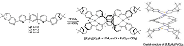 Graphical abstract: Acid-induced formation of hydrogen-bonded double helix based on chiral polyphenyl-bridged bis(2,2′-bipyridine) ligands