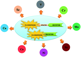 Graphical abstract: Selectively sensing first-row transition metal ions through fluorescence enhancement