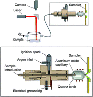 Graphical abstract: Laser ablation low-flow ICP-MS for elemental bioimaging