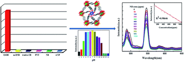 Graphical abstract: A terbium metal–organic framework with stable luminescent emission in a wide pH range that acts as a quantitative detection material for nitroaromatics