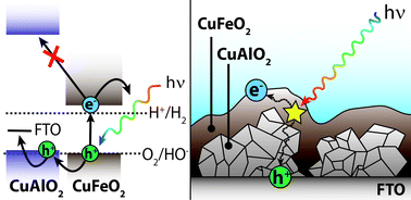 Graphical abstract: Improving charge collection with delafossite photocathodes: a host–guest CuAlO2/CuFeO2 approach