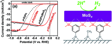 Graphical abstract: Photo-assisted electrodeposition of MoSx from ionic liquids on organic-functionalized silicon photoelectrodes for H2 generation