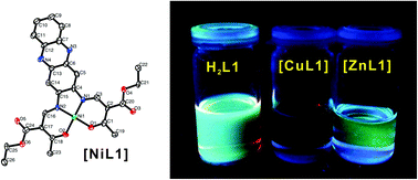 Graphical abstract: Modulation of the ligand-based fluorescence of 3d metal complexes upon spin state change