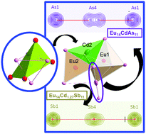 Graphical abstract: Non-stoichiometric compositions arising from synergistic electronic and size effects. Synthesis, crystal chemistry and electronic properties of A14Cd1+xPn11 compounds (0 ≤ x ≤ 0.3; A = Sr, Eu; Pn = As, Sb)