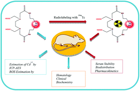 Graphical abstract: Synthesis and in vivo toxicity assessment of CdSe:ZnS quantum dots functionalized with EDTA-Bis-Cysteamine