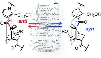 Graphical abstract: Hydrogen bonding to carbonyl oxygen of nitrogen-pyramidalized amide – detection of pyramidalization direction preference by vibrational circular dichroism spectroscopy