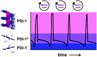 Graphical abstract: Supramolecular pathway selection of perylenediimides mediated by chemical fuels