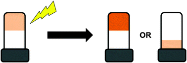 Graphical abstract: Photoresponsive gelators