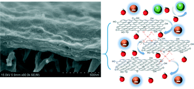 Graphical abstract: Emerging investigators series: silica-crosslinked graphene oxide membrane and its unique capability in removing neutral organic molecules from water