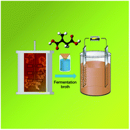 Graphical abstract: Electrocatalytic upgrading of itaconic acid to methylsuccinic acid using fermentation broth as a substrate solution