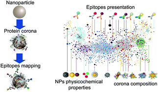 Graphical abstract: Towards a classification strategy for complex nanostructures