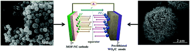 Graphical abstract: High-energy lithium-ion hybrid supercapacitors composed of hierarchical urchin-like WO3/C anodes and MOF-derived polyhedral hollow carbon cathodes