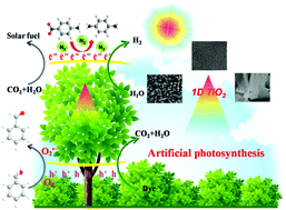 Graphical abstract: Revisiting one-dimensional TiO2 based hybrid heterostructures for heterogeneous photocatalysis: a critical review