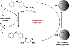 Graphical abstract: Carbon-based materials as heterogeneous antioxidants for biodiesel: efficiency and synergy with soluble antioxidants