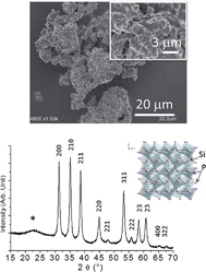 Graphical abstract: Pioneer study of SiP2 as negative electrode for Li- and Na-ion batteries