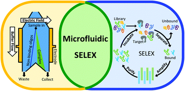 Graphical abstract: Microfluidic methods for aptamer selection and characterization