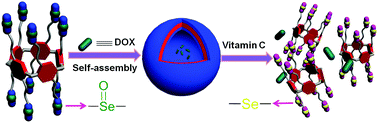 Graphical abstract: A redox-responsive selenium-containing pillar[5]arene-based macrocyclic amphiphile: synthesis, controllable self-assembly in water, and application in controlled release