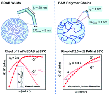 Graphical abstract: Wormlike micelles versus water-soluble polymers as rheology-modifiers: similarities and differences