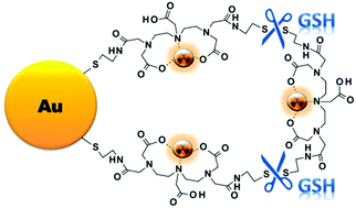 Graphical abstract: In vitro/in vivo “peeling” of multilayered aminocarboxylate gold nanoparticles evidenced by a kinetically stable 99mTc-label