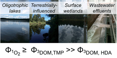 Graphical abstract: The effect of probe choice and solution conditions on the apparent photoreactivity of dissolved organic matter