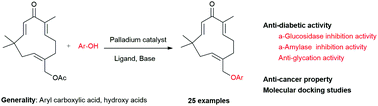 Graphical abstract: Synthesis and in vitro evaluation of zerumbone pendant derivatives: potent candidates for anti-diabetic and anti-proliferative activities