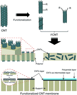 Graphical abstract: Functionalized carbon nanotube (CNT) membrane: progress and challenges