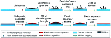 Graphical abstract: A soft non-porous separator and its effectiveness in stabilizing Li metal anodes cycling at 10 mA cm−2 observed in situ in a capillary cell