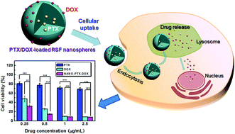 Graphical abstract: Size-controllable dual drug-loaded silk fibroin nanospheres through a facile formation process