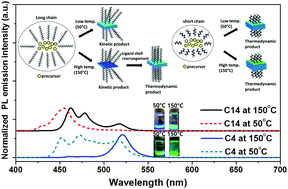 Graphical abstract: Influence of ligand shell ordering on dimensional confinement of cesium lead bromide (CsPbBr3) perovskite nanoplatelets