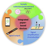 Graphical abstract: Integrated paper-based microfluidic devices for point-of-care testing