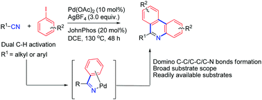 Graphical abstract: Rapid synthesis of polysubstituted phenanthridines from simple aliphatic/aromatic nitriles and iodo arenes via Pd(ii) catalyzed domino C–C/C–C/C–N bond formation