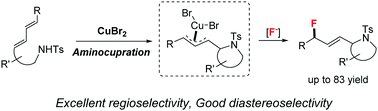 Graphical abstract: Copper-mediated intramolecular aminofluorination of 1,3-dienes by using nucleophilic fluorine reagents