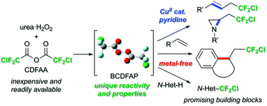 Graphical abstract: Reactivity and properties of bis(chlorodifluoroacetyl) peroxide generated in situ from chlorodifluoroacetic anhydride for chlorodifluoromethylation reactions