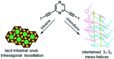 Graphical abstract: Organic molecular tessellations and intertwined double helices assembled by halogen bonding