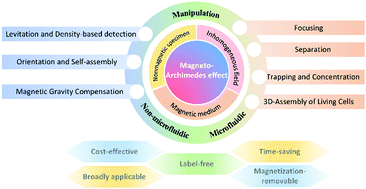 Graphical abstract: Label-free manipulation via the magneto-Archimedes effect: fundamentals, methodology and applications