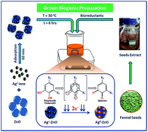 Graphical abstract: Green biomimetic preparation of efficient Ag–ZnO heterojunctions with excellent photocatalytic performance under solar light irradiation: a novel biogenic-deposition-precipitation approach
