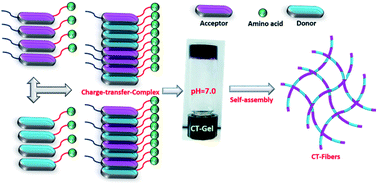 Graphical abstract: The role of amino acids on supramolecular co-assembly of naphthalenediimide–pyrene based hydrogelators