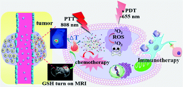 Graphical abstract: An “all-in-one” antitumor and anti-recurrence/metastasis nanomedicine with multi-drug co-loading and burst drug release for multi-modality therapy