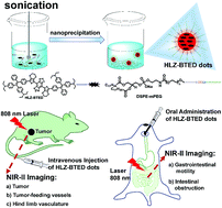 Graphical abstract: Novel near-infrared II aggregation-induced emission dots for in vivo bioimaging