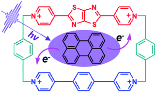 Graphical abstract: Choosing sides: unusual ultrafast charge transfer pathways in an asymmetric electron-accepting cyclophane that binds an electron donor