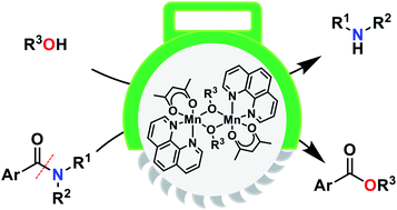 Graphical abstract: Dinuclear manganese alkoxide complexes as catalysts for C–N bond cleavage of simple tertiary N,N-dialkylamides to give esters