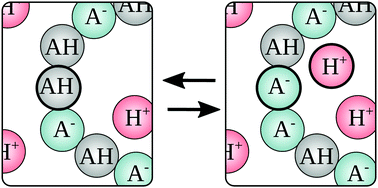 Graphical abstract: Simulations of ionization equilibria in weak polyelectrolyte solutions and gels