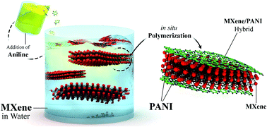 Graphical abstract: Thick and freestanding MXene/PANI pseudocapacitive electrodes with ultrahigh specific capacitance