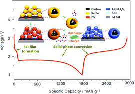 Graphical abstract: Building a cycle-stable sulphur cathode by tailoring its redox reaction into a solid-phase conversion mechanism