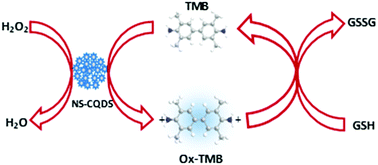 Graphical abstract: Peroxidase mimetic activity of fluorescent NS-carbon quantum dots and their application in colorimetric detection of H2O2 and glutathione in human blood serum