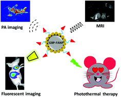 Graphical abstract: Glypican-3 (GPC3) targeted Fe3O4 core/Au shell nanocomplex for fluorescence/MRI/photoacoustic imaging-guided tumor photothermal therapy