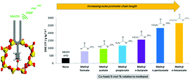 Graphical abstract: Getting zeolite catalysts to play your tune: methyl carboxylate esters as switchable promoters for methanol dehydration to DME