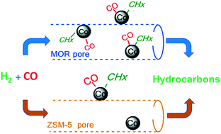 Graphical abstract: Number and intrinsic activity of cobalt surface sites in platinum promoted zeolite catalysts for carbon monoxide hydrogenation