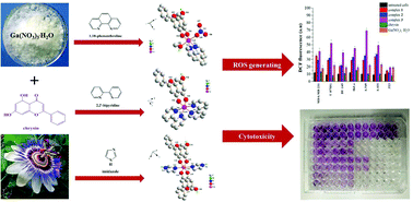 Graphical abstract: Structurally characterized gallium–chrysin complexes with anticancer potential